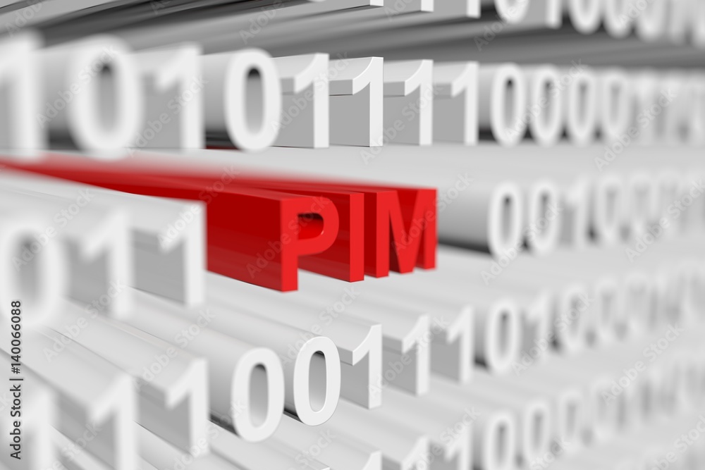 pim in a binary code with blurred background 3D illustration