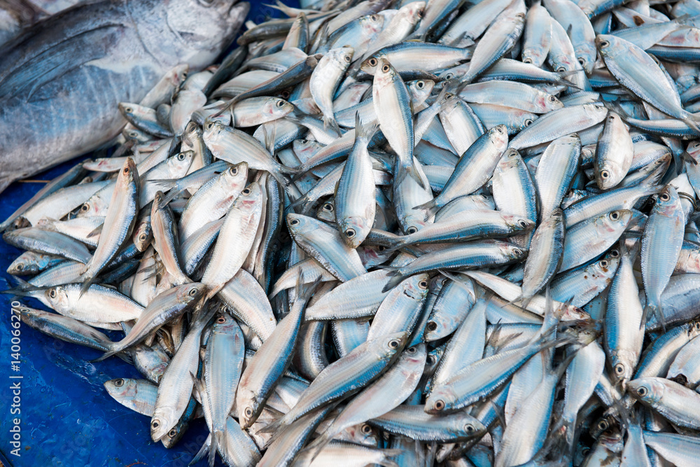 Fish catch from the Indian Ocean Fish catch from the Indian Ocean