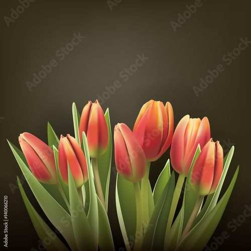 Fototapeta Naklejka Na Ścianę i Meble -  tulips flower