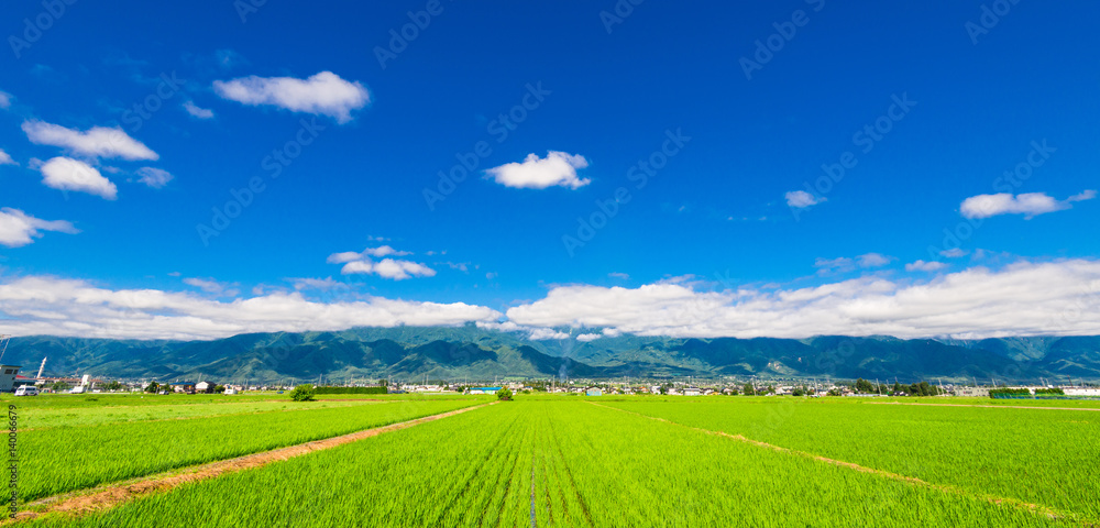 信州 安曇野の田園風景