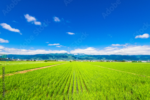 信州　安曇野の田園風景