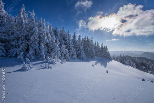 Snowy land © Marek