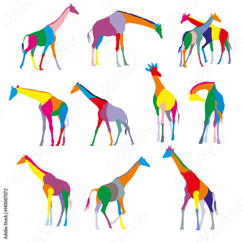 Canvas Print Set of colorful silhouettes of giraffes