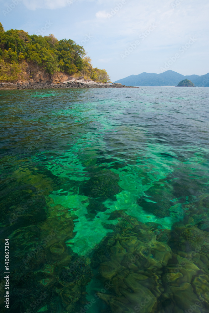 Green Clear Ocean Bottom Coral Reef Tarutao National Park Thailand
