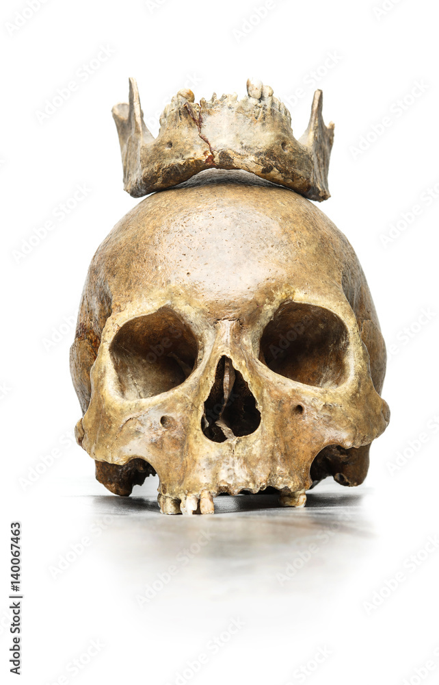 skull Queen with a crown of jaw skull Queen with a crown of jaw