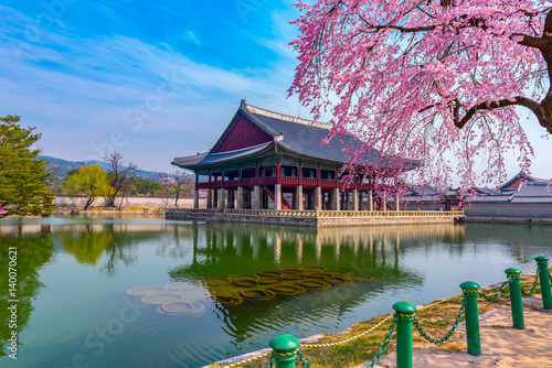 Gyeongbokgung Palace with cherry blossom in spring of korea.