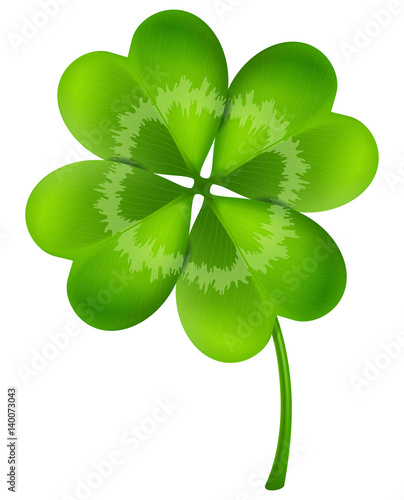 Clover. Vector illustration.