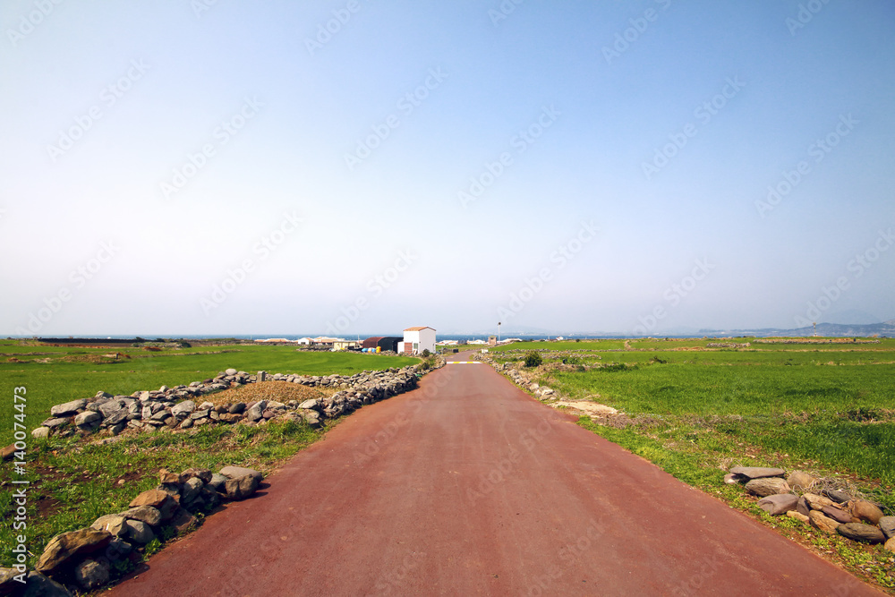 Fototapeta premium korea jeju island horizon with road