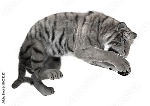 Fototapeta Naklejka Na Ścianę i Meble -  3D Rendering White Tiger on White