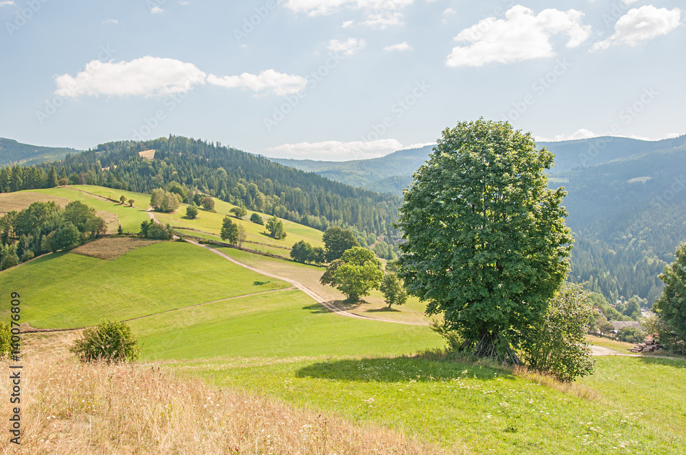 Beskid Śląski Polska