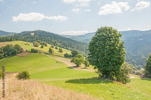 Obraz na płótnie Beskid Śląski Polska w salonie