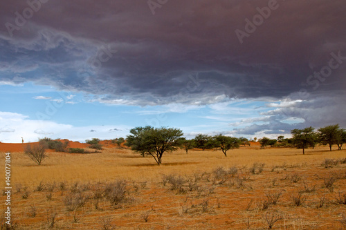 Kalahari vor einem Gewitter