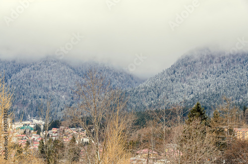 Romanian mountains range with pine forest and fog, winter time with snow