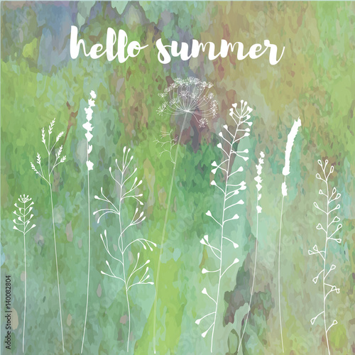 Hand drawn vector illustration of wild flowers, herbs and grasses.Thin  lines...