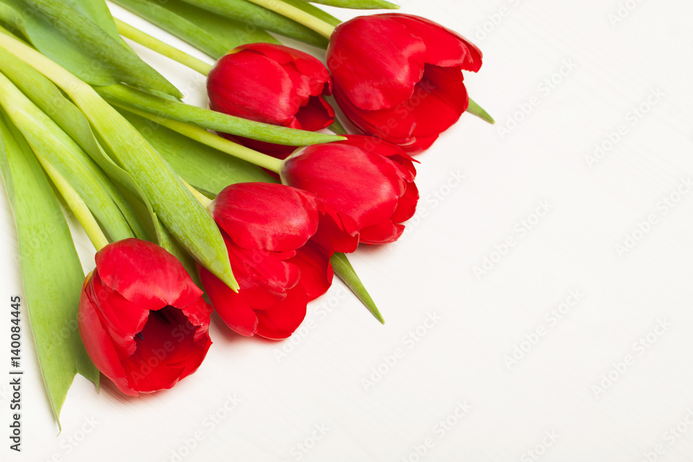 tulips on the ligth background tulips on the ligth background