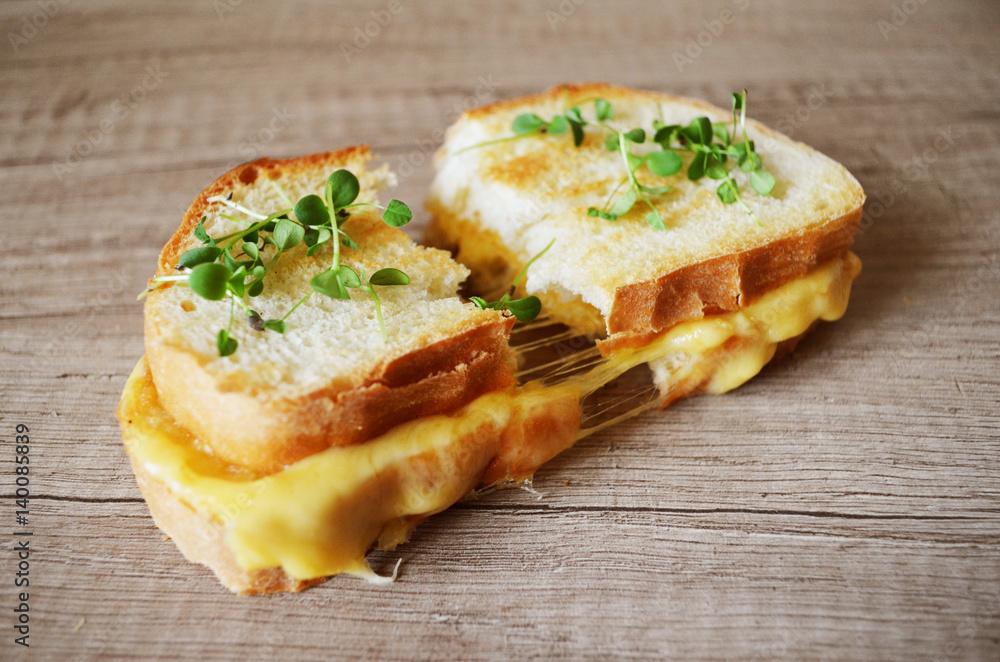 Fresh sandwich with cheese and herbs Fresh sandwich with cheese and herbs