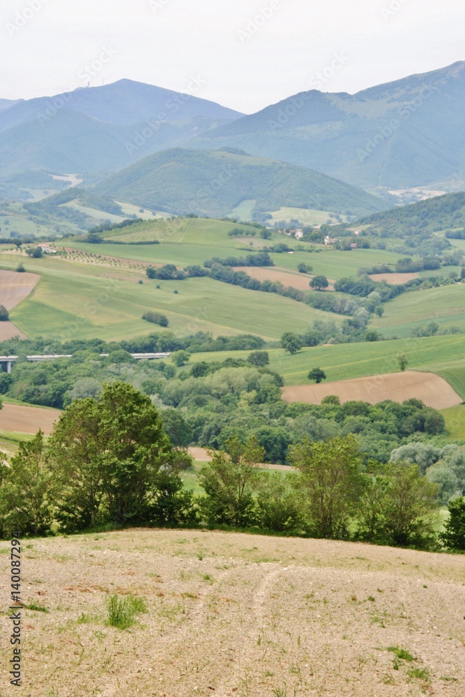 Landscape of Marchigian hills with cultivations