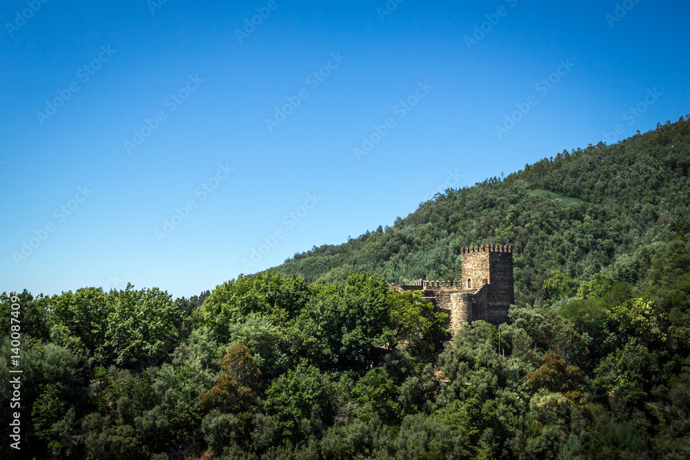 Old medieval fortress in deep forest