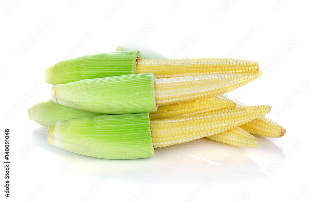 Baby corn on a white background Baby corn on a white background