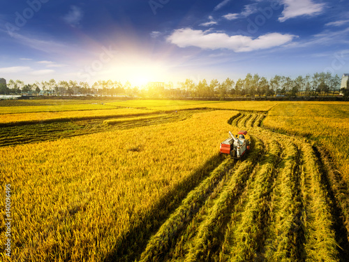 Photography Chinese rural area, mature rice