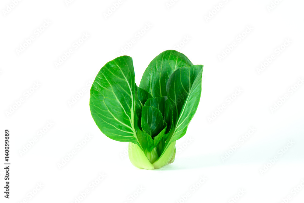 Fototapeta premium Bok choy (chinese cabbage) isolated on white background