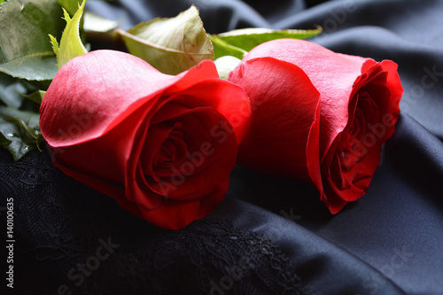 Fotografie two roses