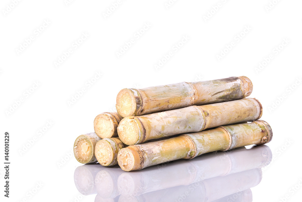 Fresh sugar cane. Studio shot isolated on white