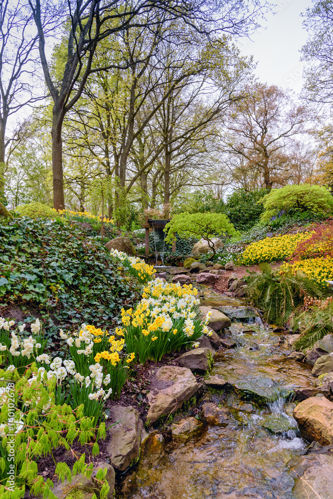 Spring landscape with a water creek in dutch spring Keukenhof Gardens Spring landscape with a water creek in dutch spring Keukenhof Gardens