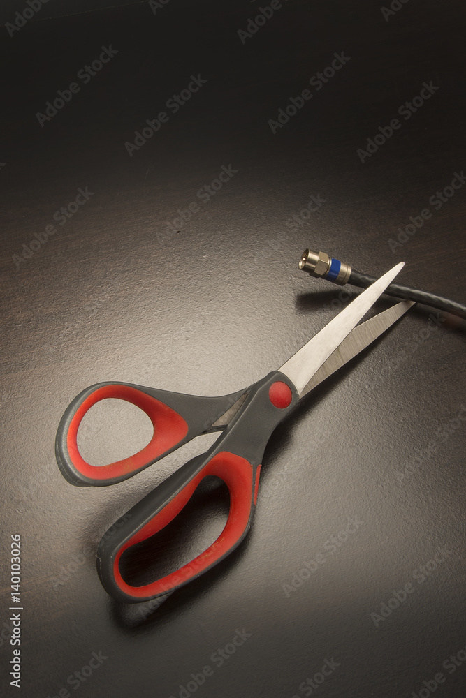 Obraz premium Cutting the Cable