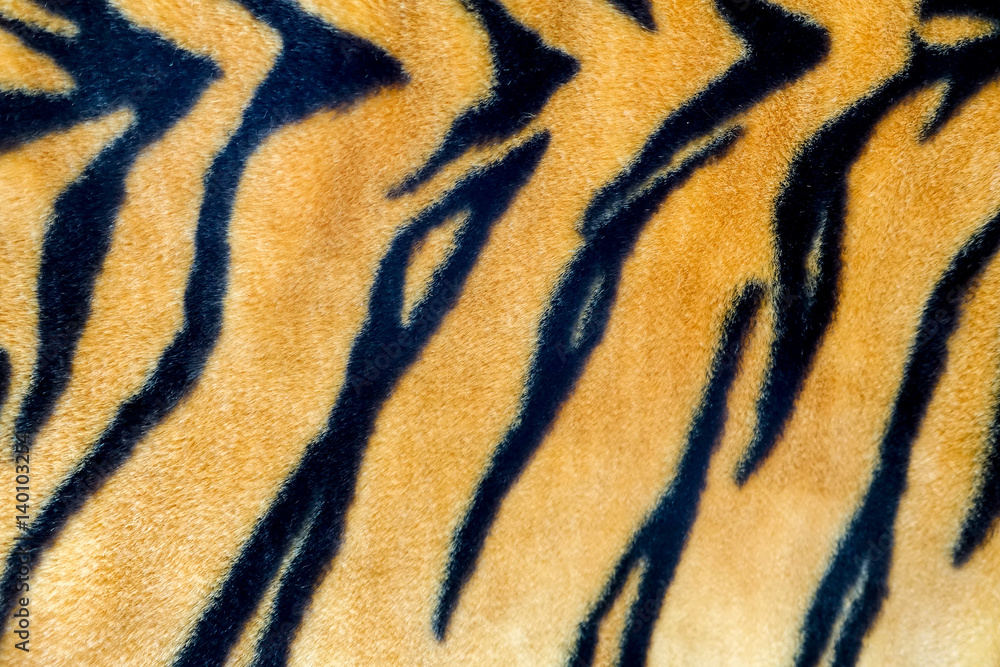 Texture of a tiger Texture of a tiger