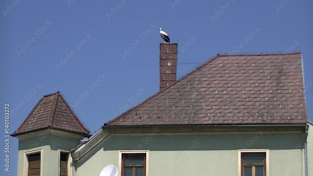Auf dem Kamin eines Hauses steht ein Weißstorch (Totale)