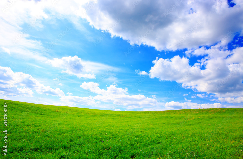 Summer landscape with green grass and blue sky. Summer landscape with green grass and blue sky.