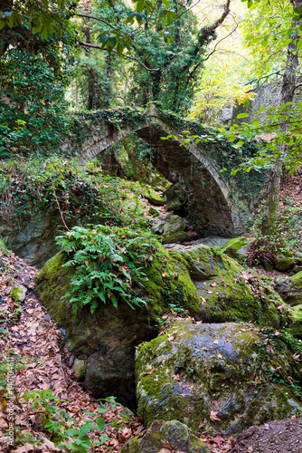The old stone bridge near Tsagkarada village on Mount Pelion, Greece