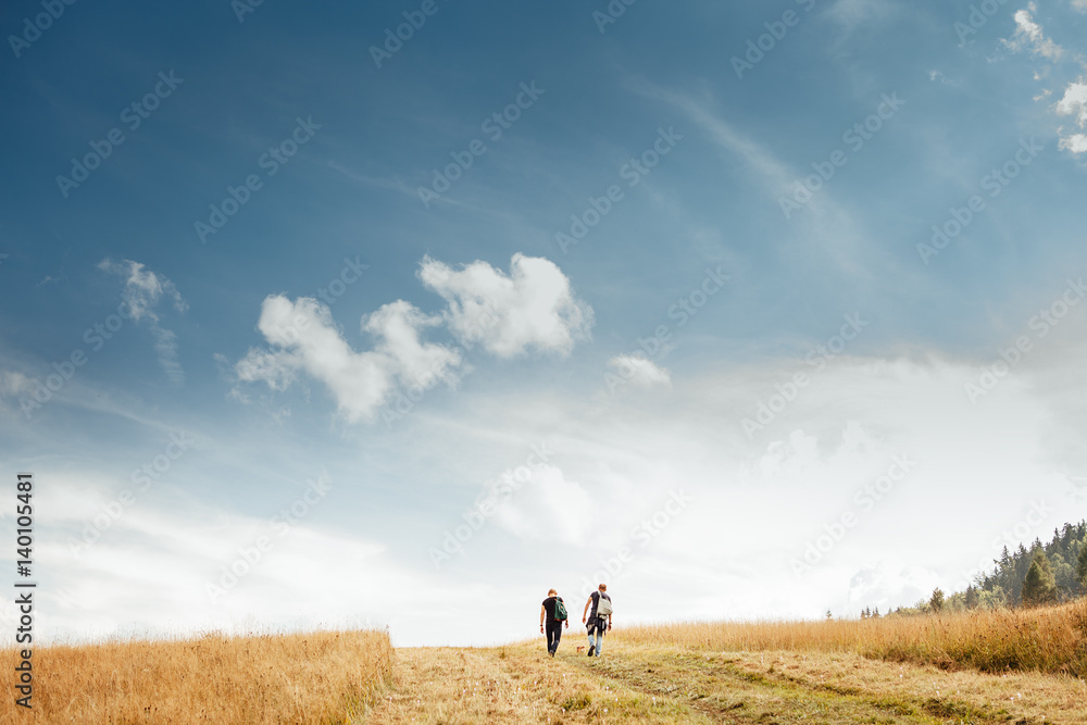 Two mans walk on golden field under blue sky