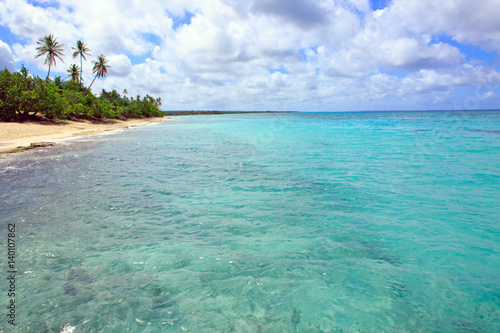 Tropical beach with palms and Caribbean sea . © Swetlana Wall