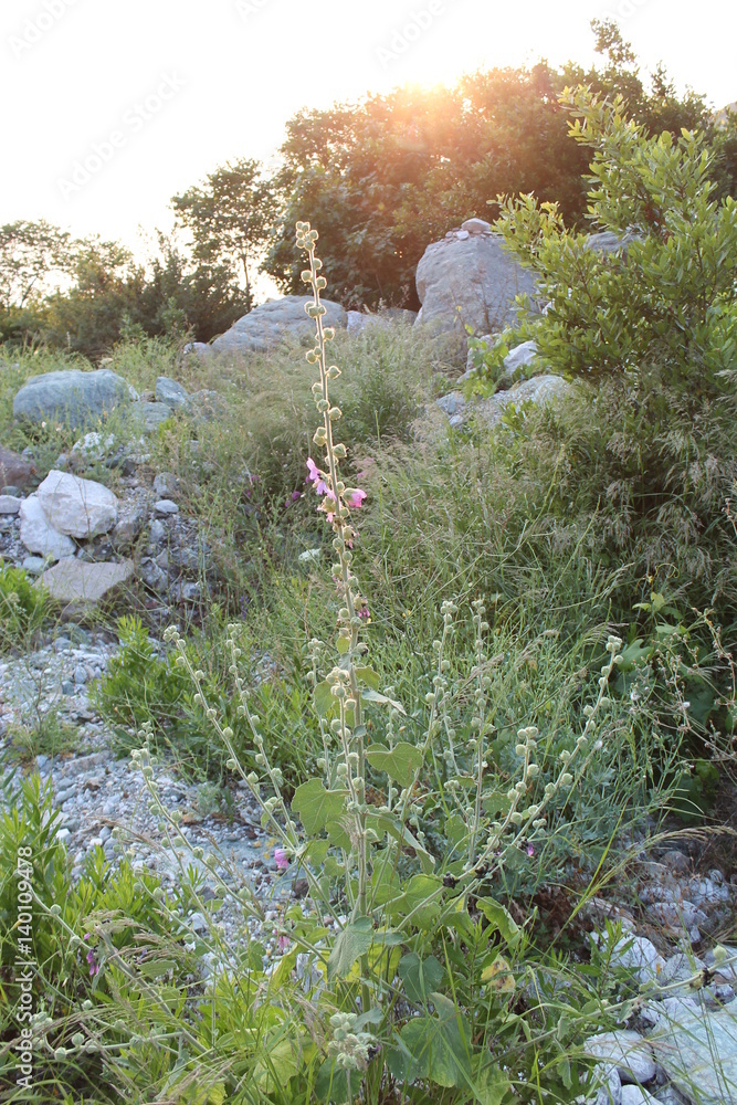 Fototapeta premium agios oros