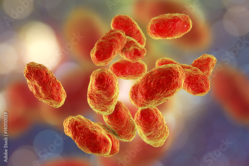 Haemophilus influenzae bacteria, 3D illustration. Gram-negative coccobacilli which cause infections mainly in children, pneumonia, otitis, meninitis and other photo