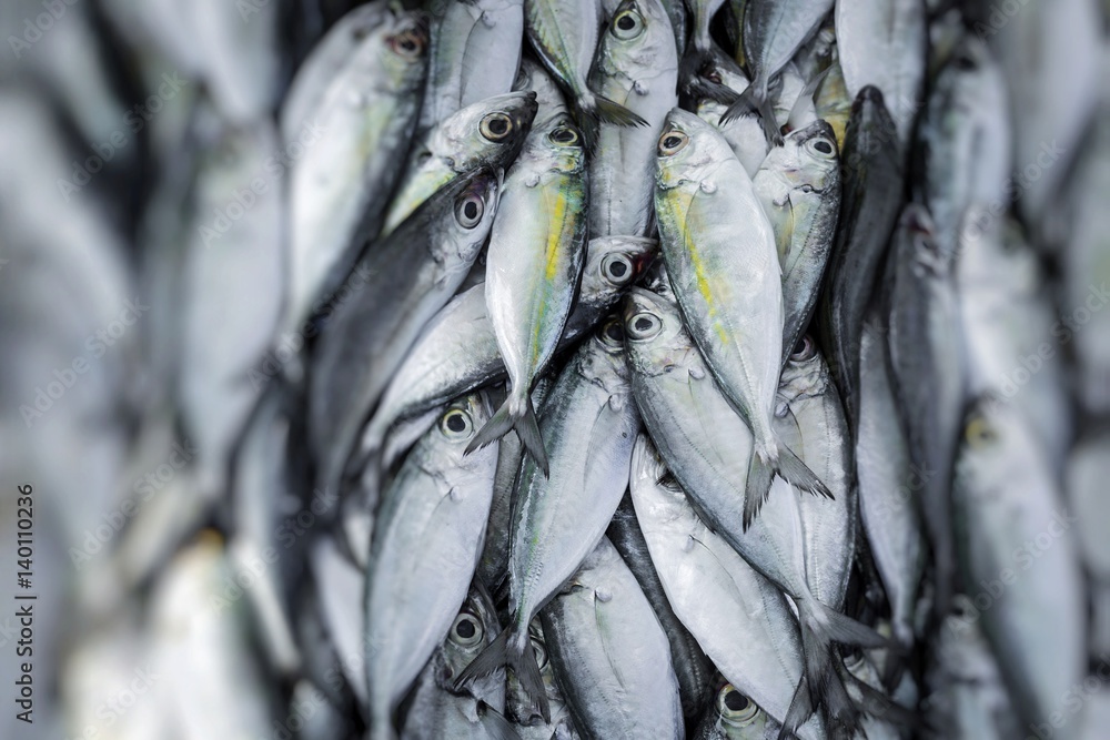 Obraz premium Fresh fish at local Sri Lanka market.