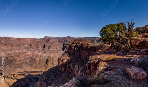 Canvas Print Panoramic view of Grand Canyon West Rim - Arizona, USA