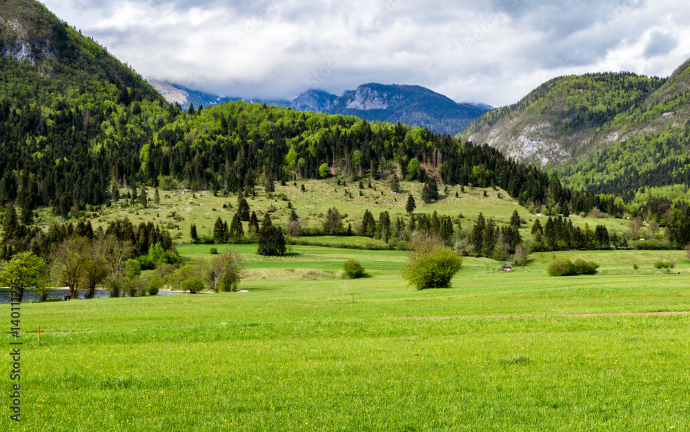 Meadow with mountains in the background Meadow with mountains in the background