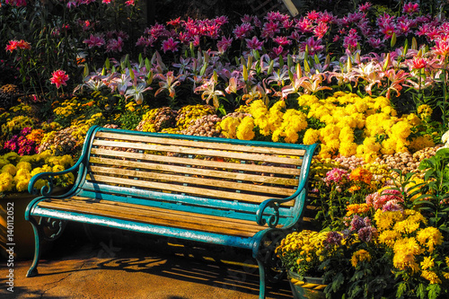 Chairs in the flower garden
