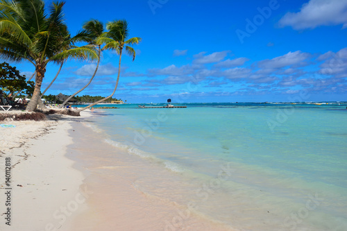 Fototapeta Naklejka Na Ścianę i Meble -  sea panoramic view of the Dominican Republic in the Caribbean with white beaches and palm trees