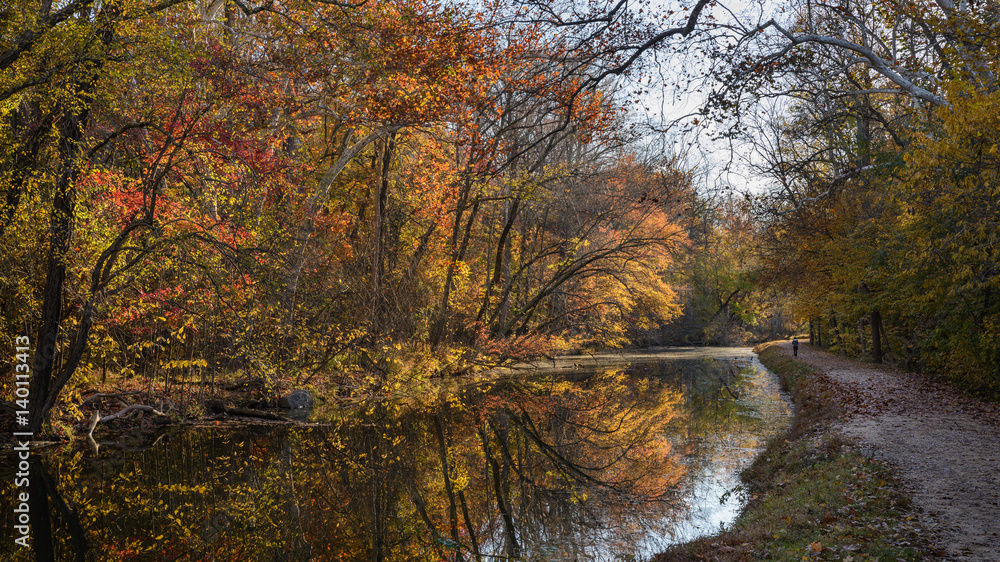 Autumn foliage