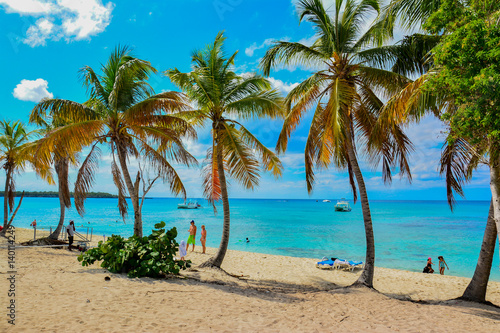 Fototapeta Naklejka Na Ścianę i Meble -  sea panoramic view of the Dominican Republic in the Caribbean with white beaches and palm trees