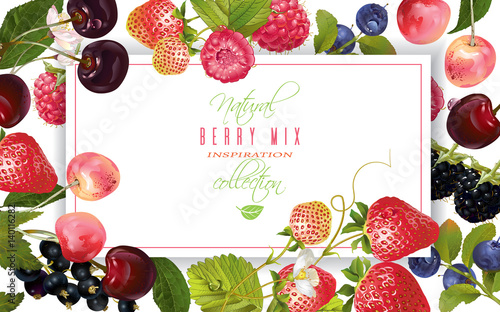 Berry horizontal banner