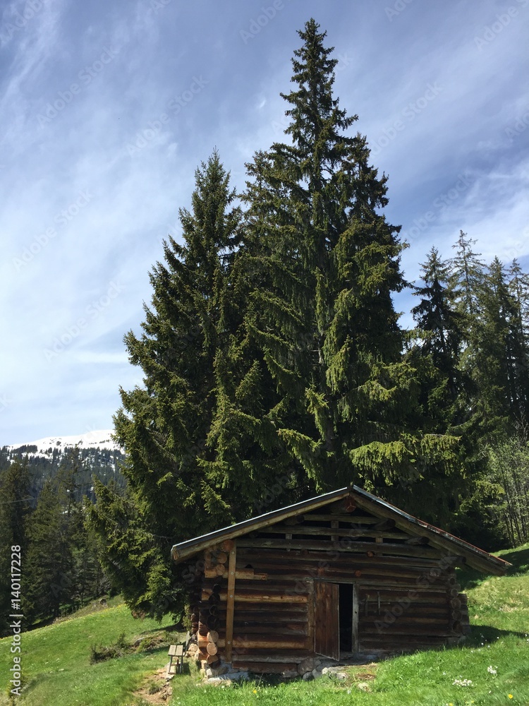 unterschlupf, hütte am waldrand