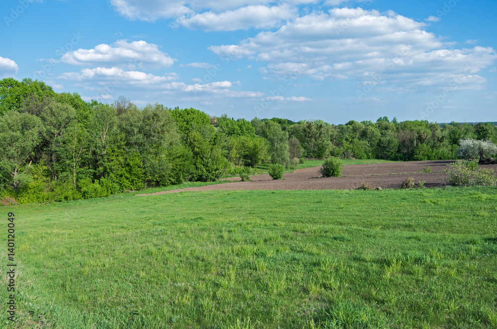 Fototapeta premium Partially cultivated farmland