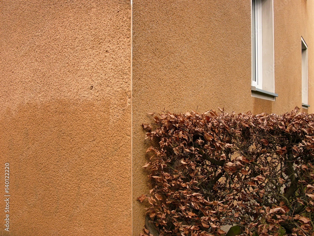Braune Hecke im vor brauner Fassade mit verwaschenem Putz und