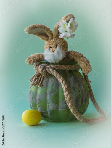Funny teddy Easter rabbit look out from flower pot.