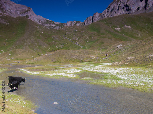 val d'orgeres,la thuile,aoste,italie